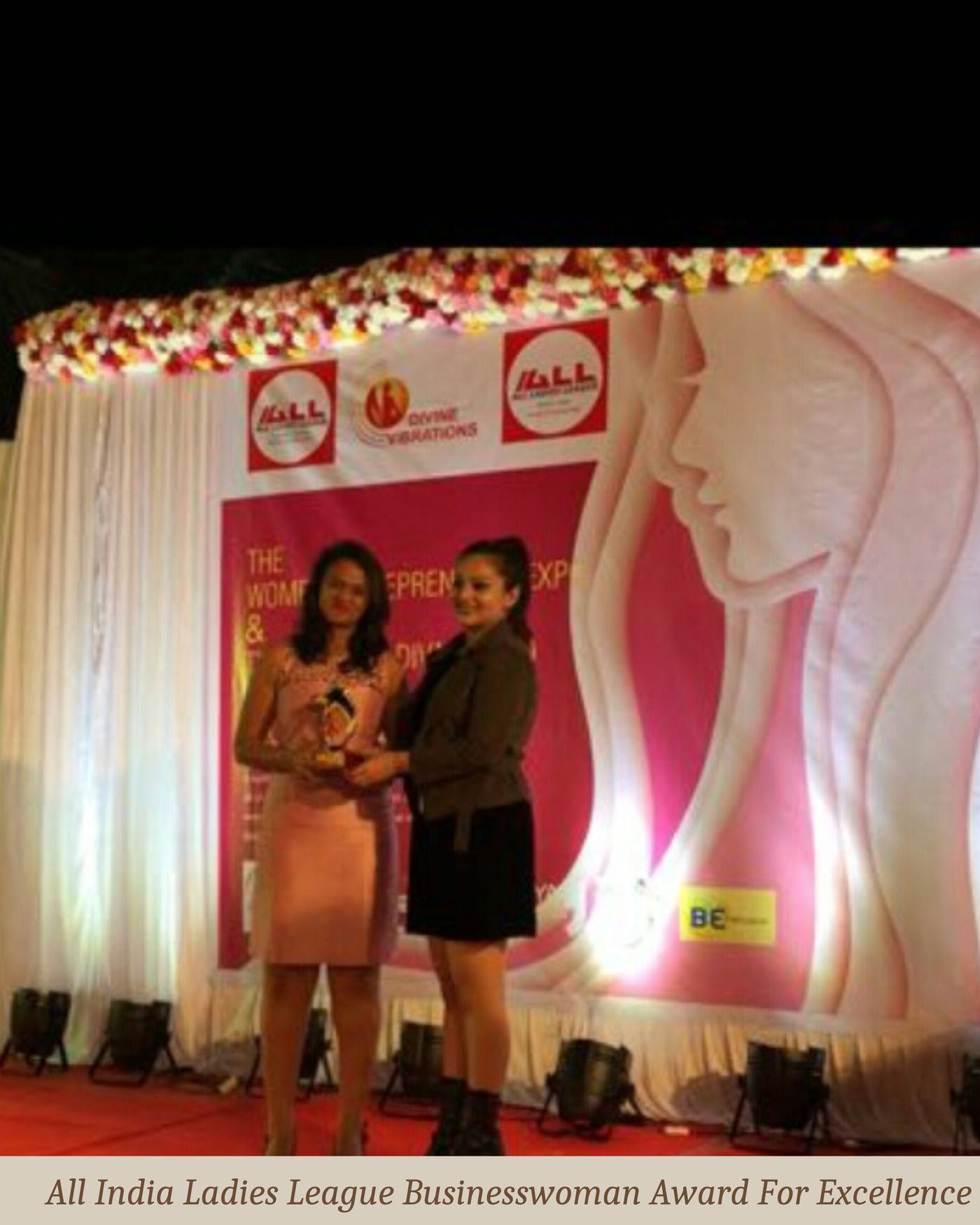 All India Ladies League Businesswoman Award for Excellence